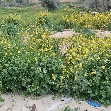 Emile Altwal Madaba Hotel Kültér fotó